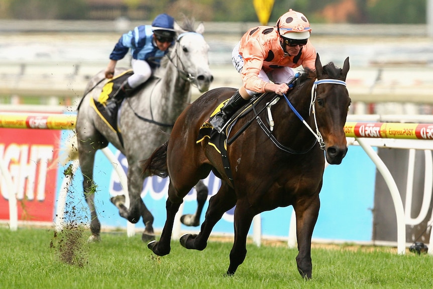 Luke Nolen riding Black Caviar in Schillaci Stakes in Oct 2011