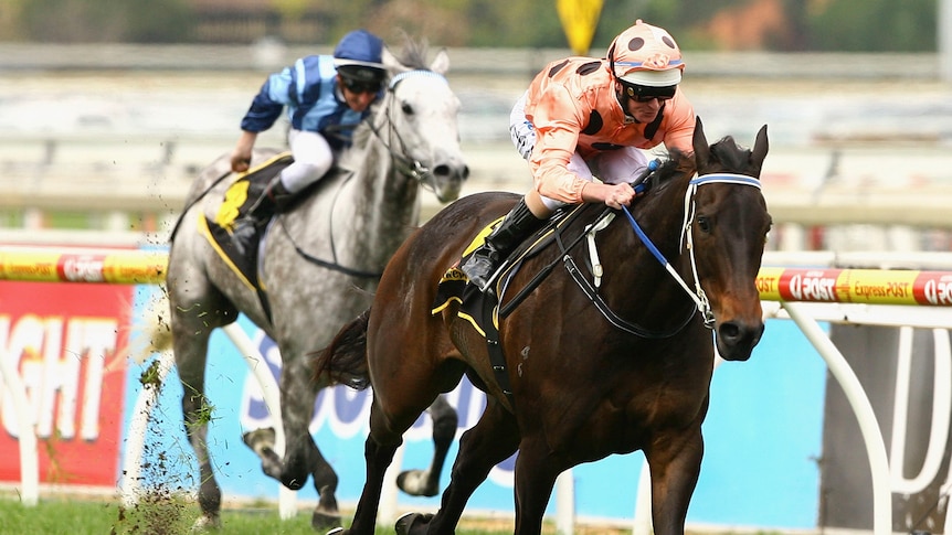 Luke Nolen riding Black Caviar in Schillaci Stakes in Oct 2011