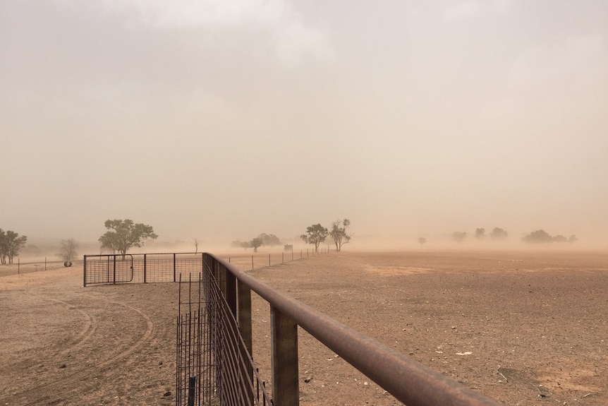 A completely barren, drought-affected paddock