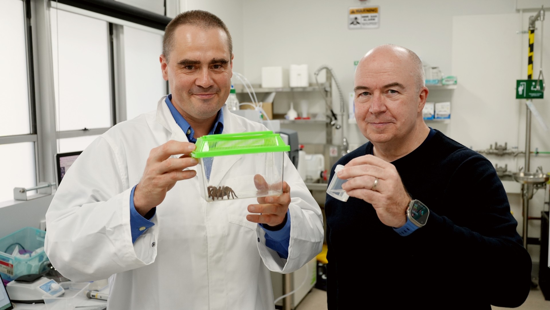 Spider venom to target 'super mites' killing Australia's honey bees