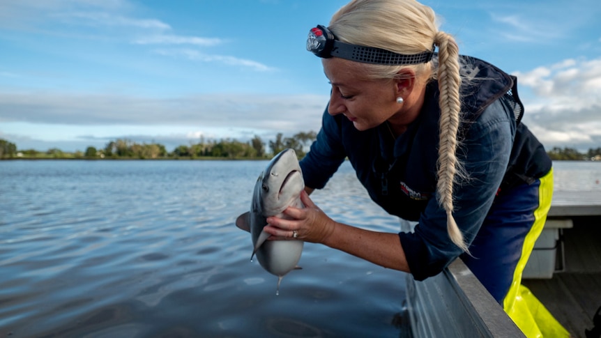 A woman holding a shark pup