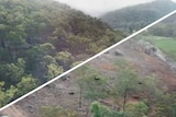 A before and after photo showing cleared vegetation