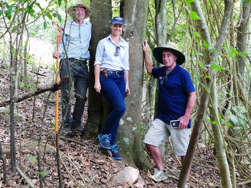 Three people stand near an old tree