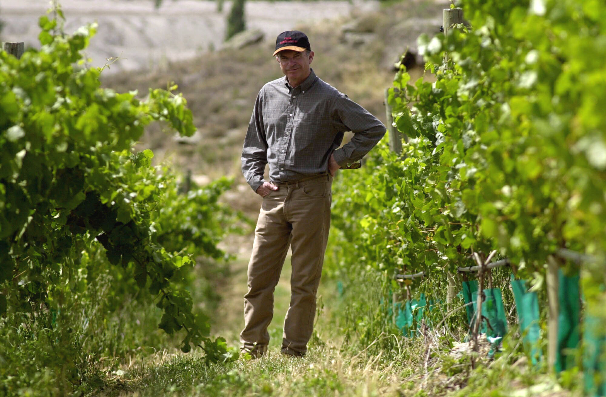 Man in a cap,long pants and long-sleeve shirt stands in a winery among the vines