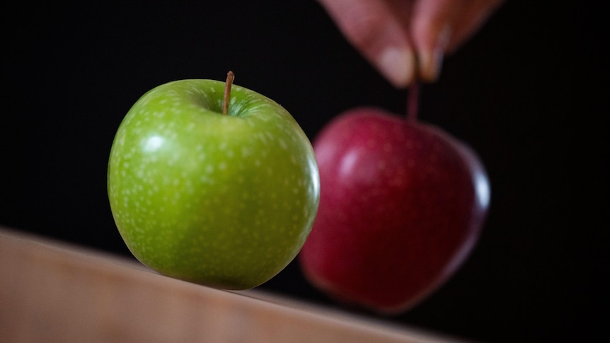 Close up of bright green apple in front of red apple. Vivid colours against a black background