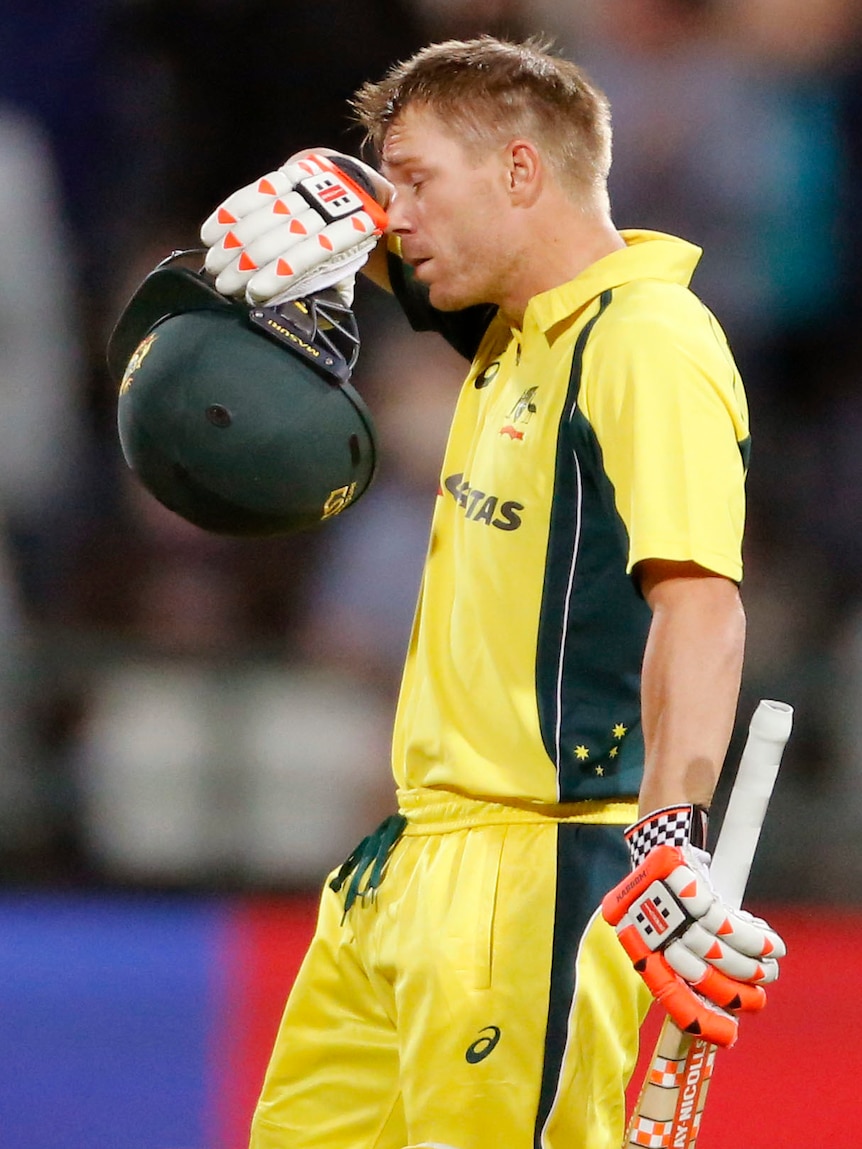 David Warner during the fifth ODI against South Africa