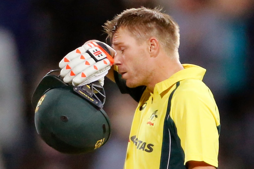 David Warner during the fifth ODI against South Africa