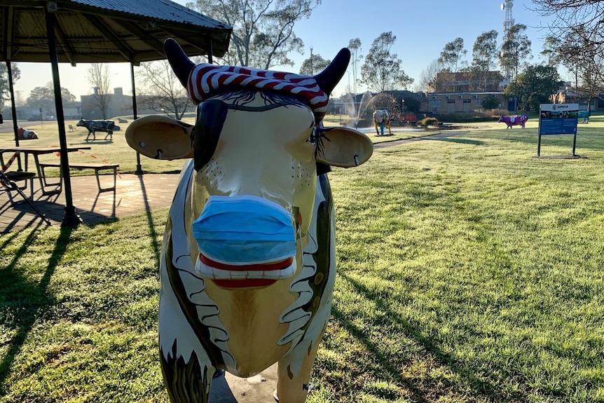 A sculpture of a cow standing on a grassy lawn, with a surgical mask placed over its mouth.