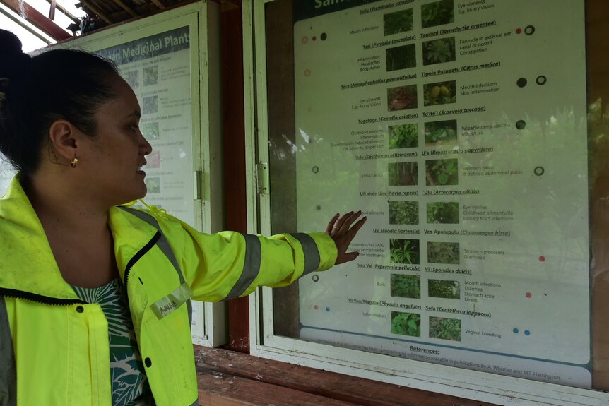 Ms Tuisuga points to a display board showing the different types of plants that have been planted. 