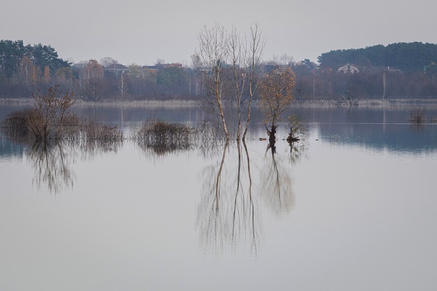 A view of a flooded area in the village of Demydiv.