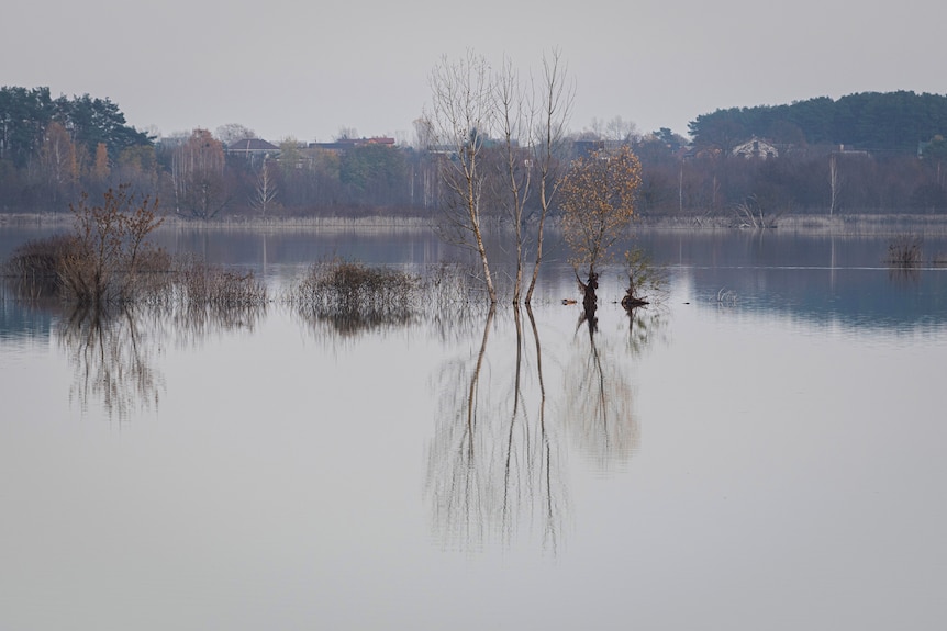 A view of a flooded area in the village of Demydiv.