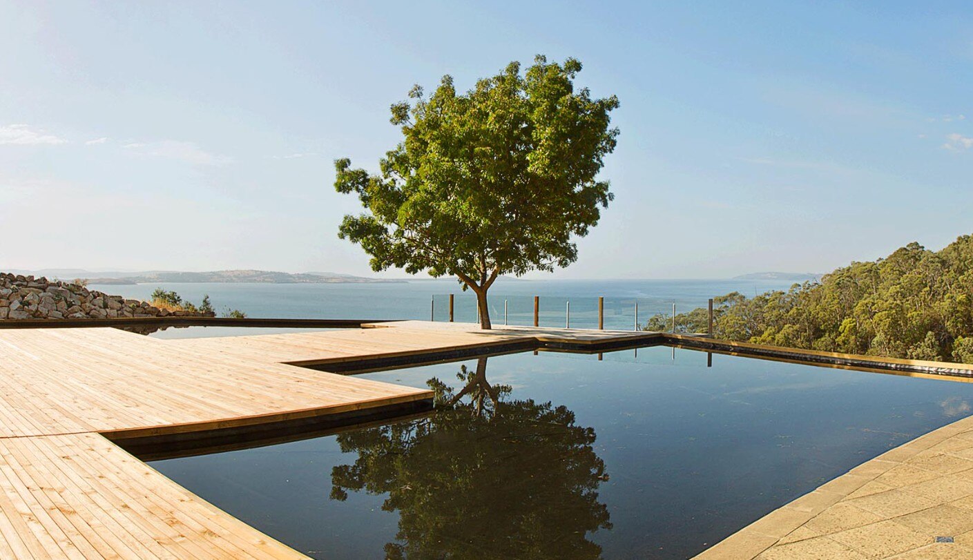 uma árvore ao lado de uma piscina e um terraço