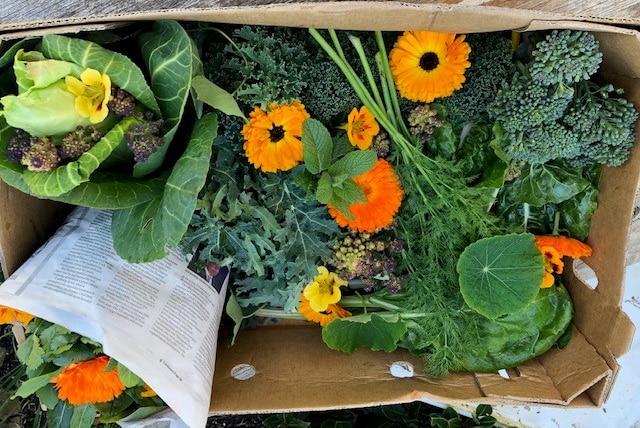 box of vegies and edible flowers