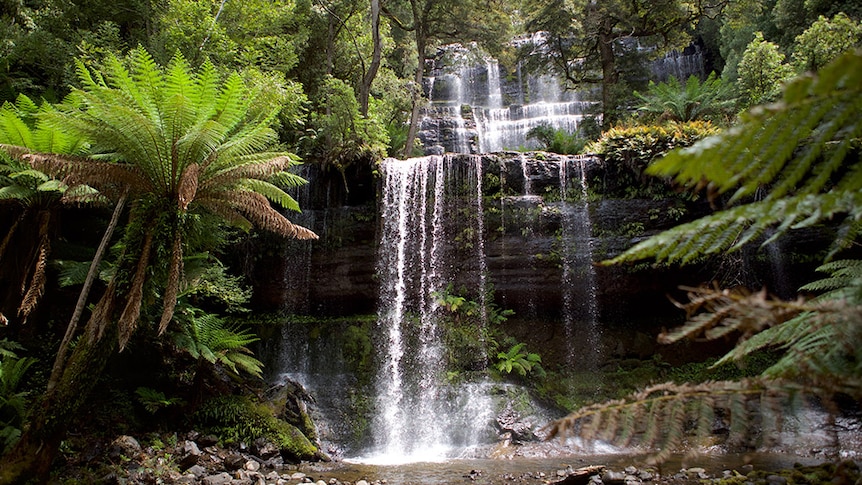 Water cascades down Russell Falls