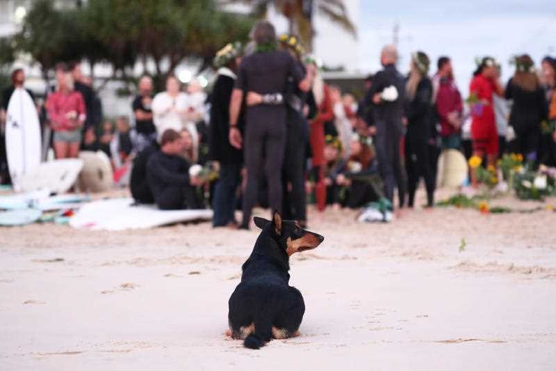 A dog sits on the beach while mourners support each other in the background.