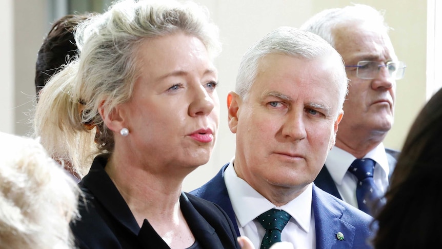 Michael McCormack watches Bridget McKenzie speak to the media. Nationals MPs are around them