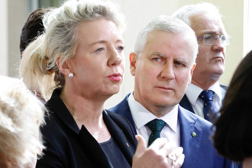 Michael McCormack watches Bridget McKenzie speak to the media. Nationals MPs are around them