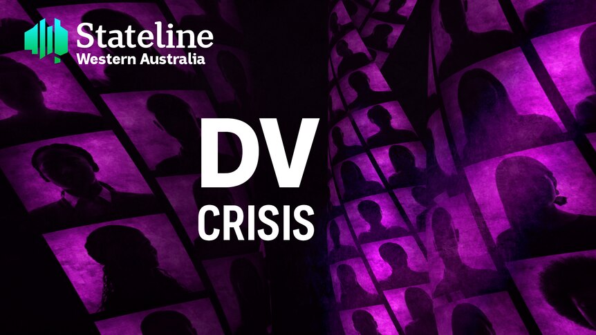 A graphic feature the words 'Stateline DV crisis' 
