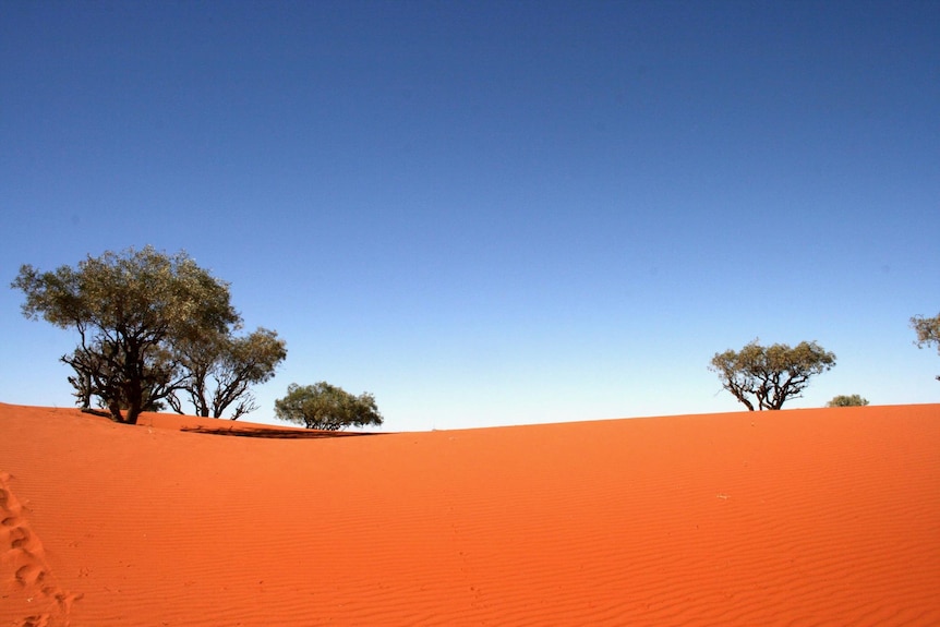 Red sand dunes on a clear day in the outback.
