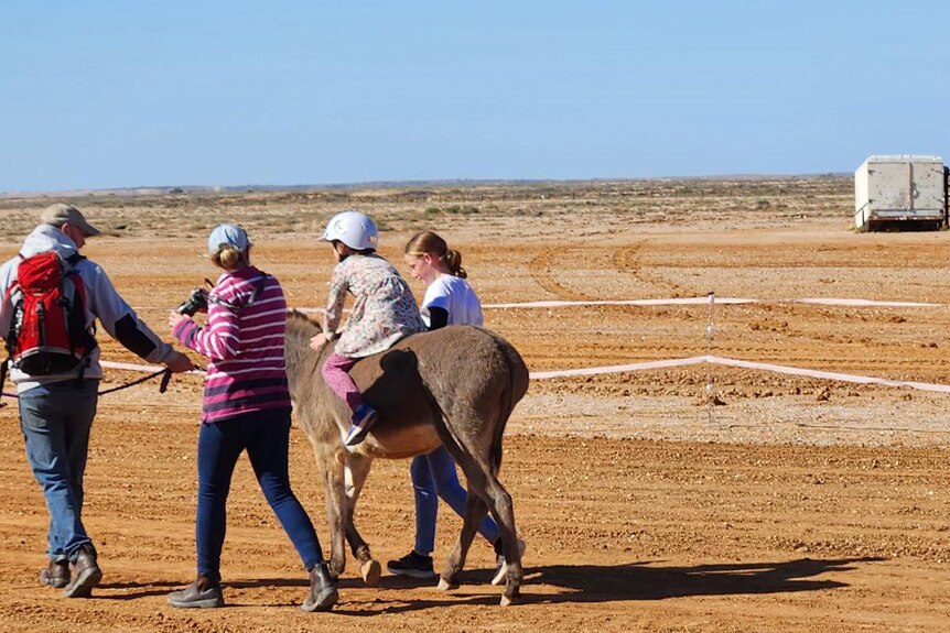 A child on a donkey with handlers around her in the outback.