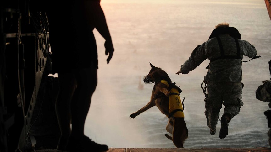 A solider and his military working dog jump off the ramp of a helicopter.