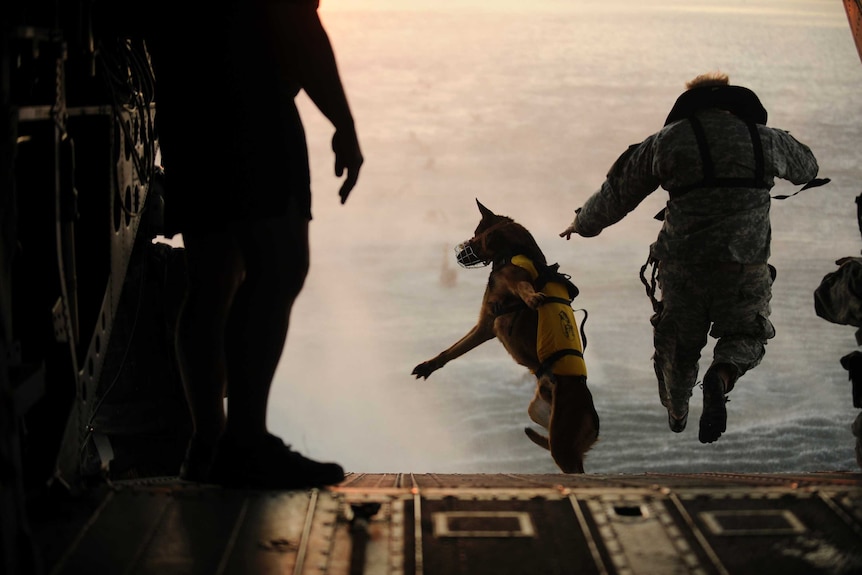A solider and his military working dog jump off the ramp of a helicopter.