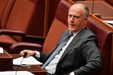 Liberal Senator Eric Abetz speaks with a furrowed brow in the Senate chamber.