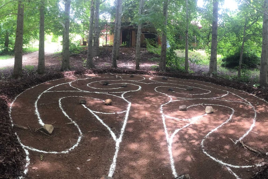A labyrinth drawn on the ground, surrounded by tall trees