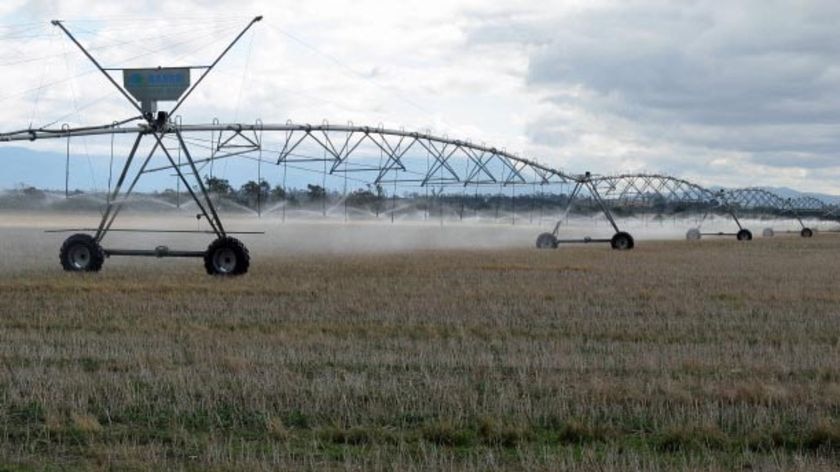 Irrigators will have new carryover water arrangements from next financial year