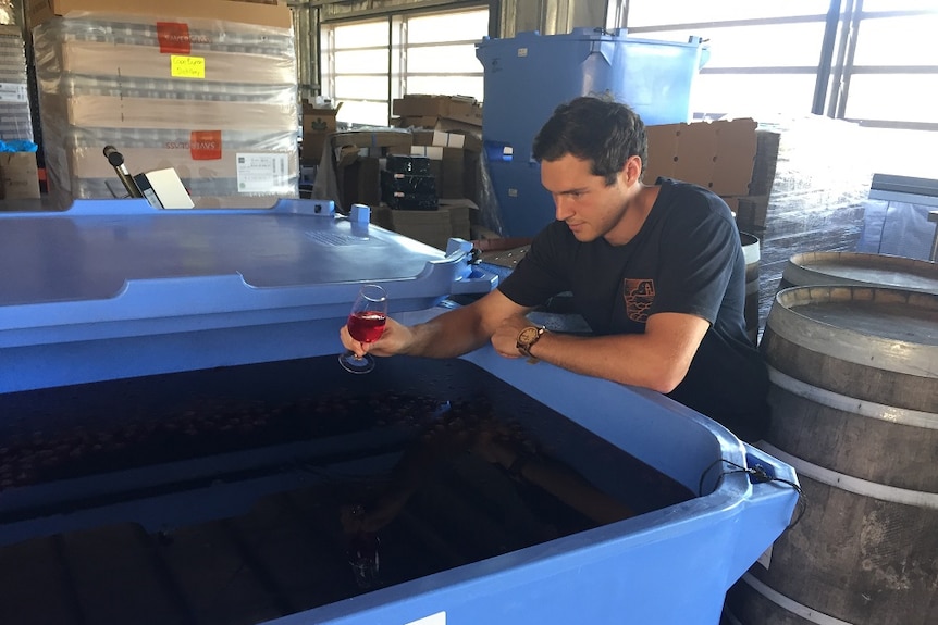 Distiller Eddie Brook looks over a vat, tasting the gin he created with 18 native flavour from the regenerated rainforest.