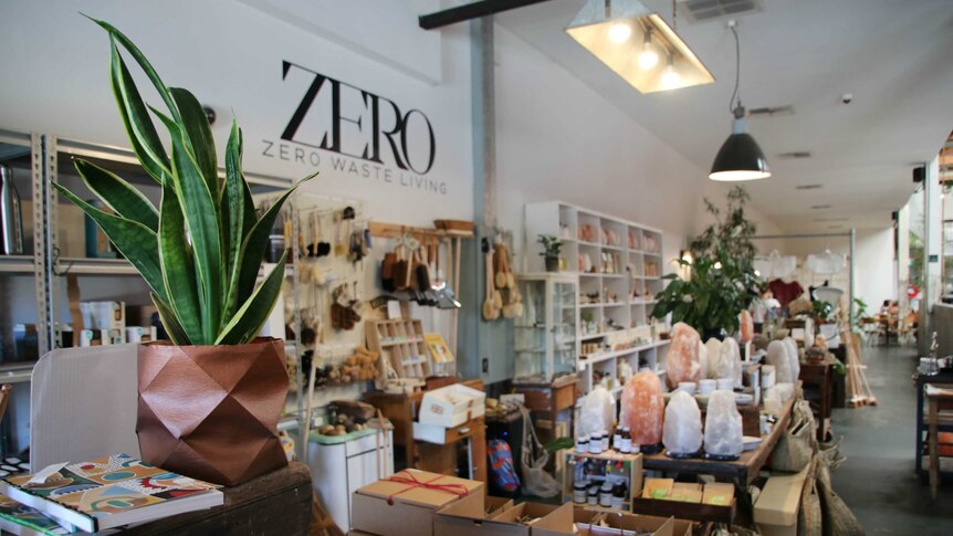 The interior of a homewares store. There is a potted plant in the foreground and salt lamps in the background, among other wares