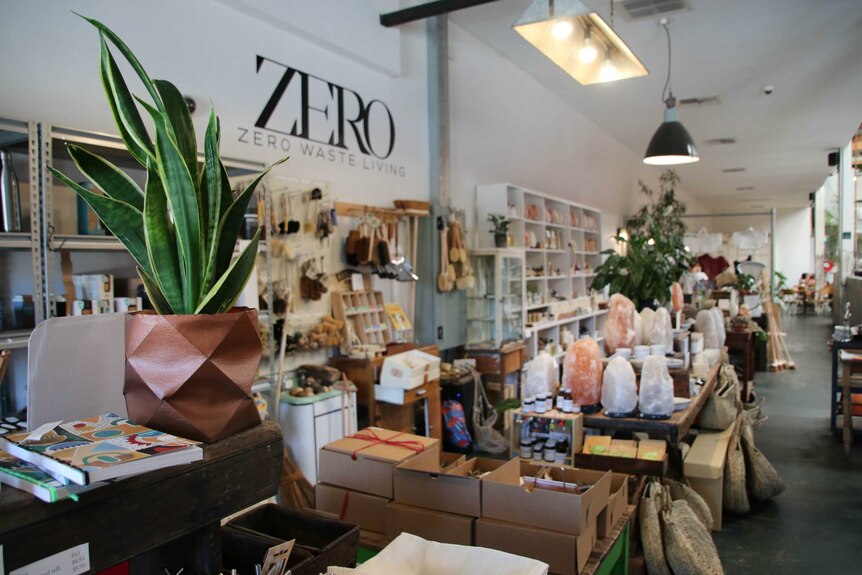 The interior of a homewares store. There is a potted plant in the foreground and salt lamps in the background, among other wares