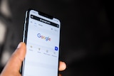 A close up of a hand holding an Apple iPhone, which displays the Google homepage