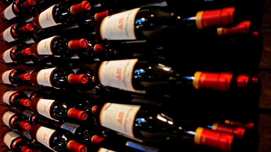 a full rack of red wine bottles