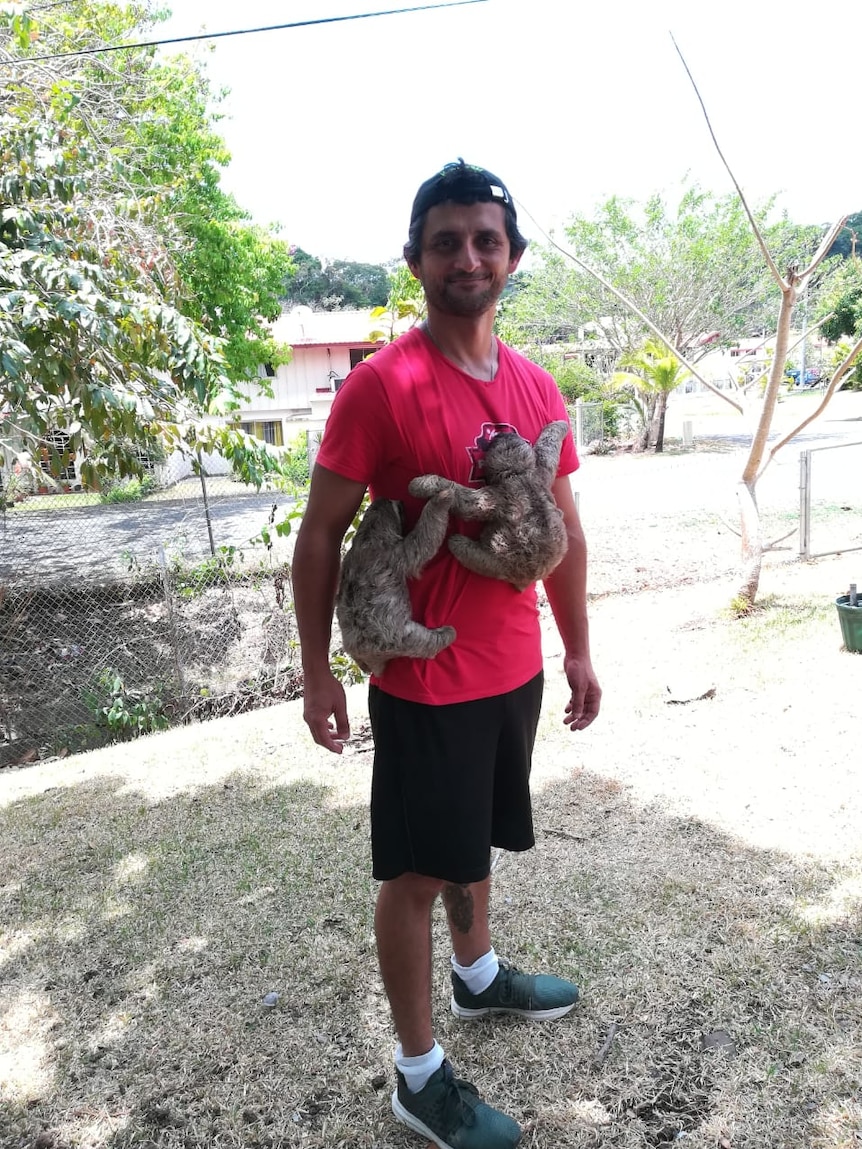 Two young sloths cling to a man's shirt while he stands in a backyard.