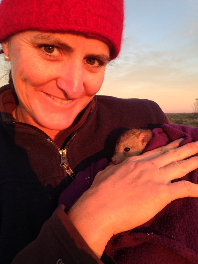 Volunteer Kim Thomas cuddles a bettong joey that was thrown out of the pouch by its mother.