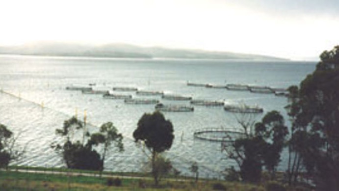 A warmer than average summer has played havoc with fish stocks.