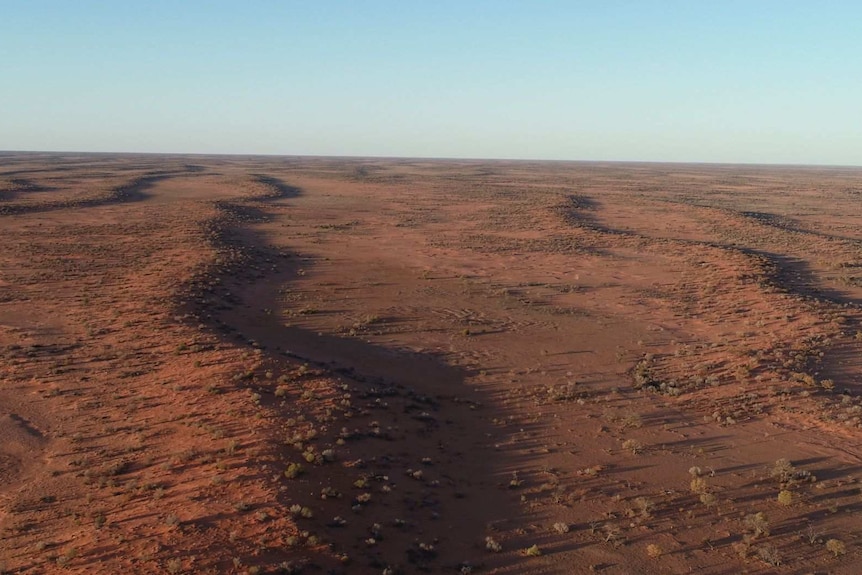 A drone shot of a fast dry desert with sporadic shrub growth