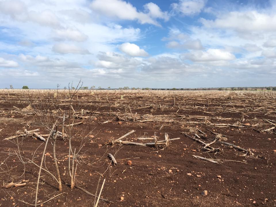 Some growers could miss out on planting their winter crops for the ...
