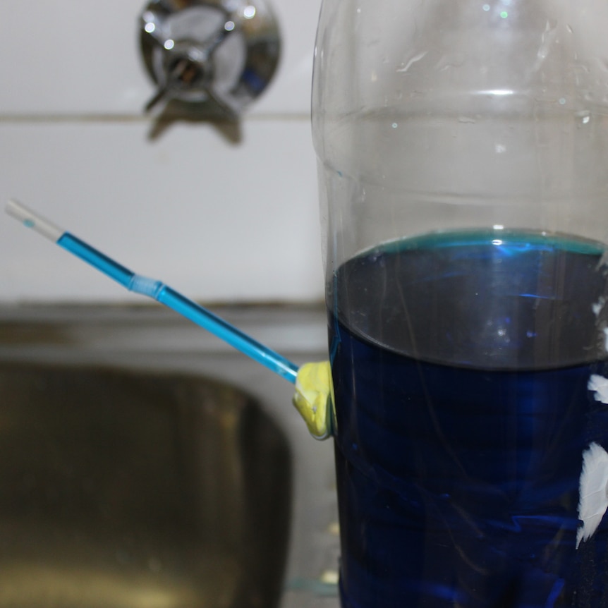 A plastic bottle half-filled with blue water. A straw is inserted in its side through a small, sealed hole.
