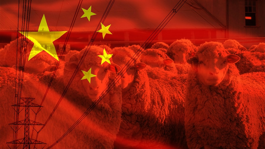 a composite image of a sheep, power lines and the Chinese flag. 