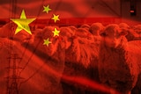 a composite image of a sheep, power lines and the Chinese flag. 