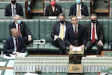 Jim Chalmers gives a speech in parliament as Anthony Albanese and a host of MPs watch on