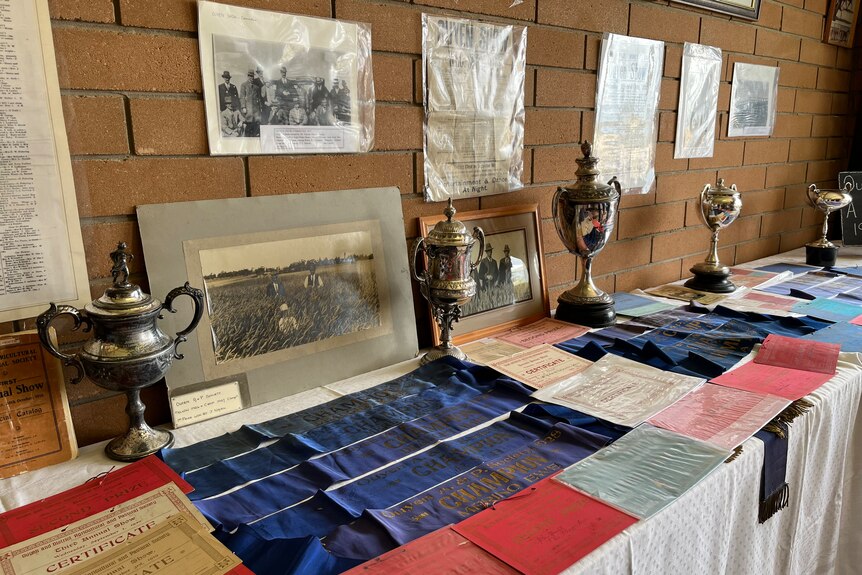 Trophies, photos, ribbons and award certificates on display 