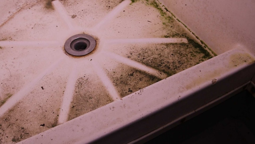 Mould and bacteria is seen growing in the corner of a shower inside the facility.