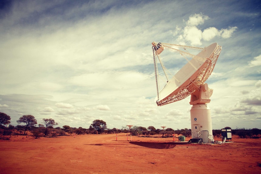 Murchison radio telescope in WA.jpg