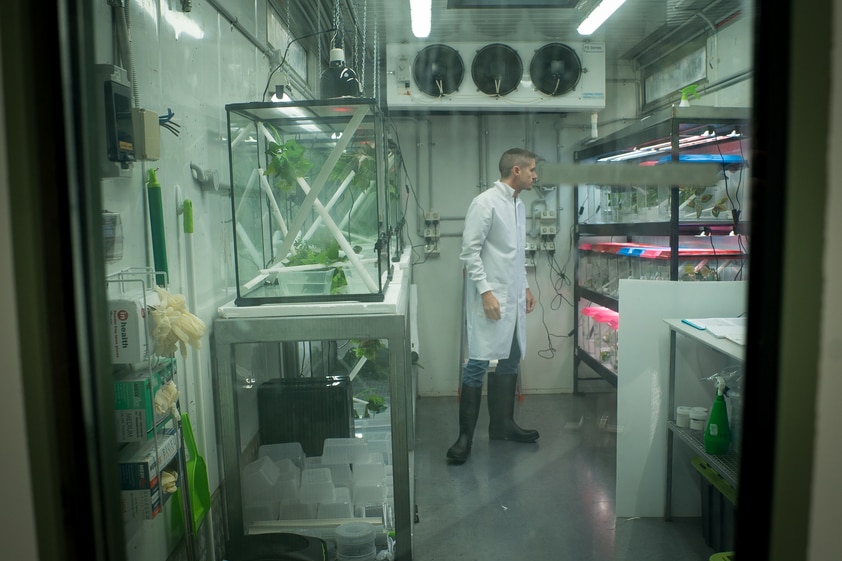 Man in a laboratory wearing a white coat, peering into glass tanks with heat lights 