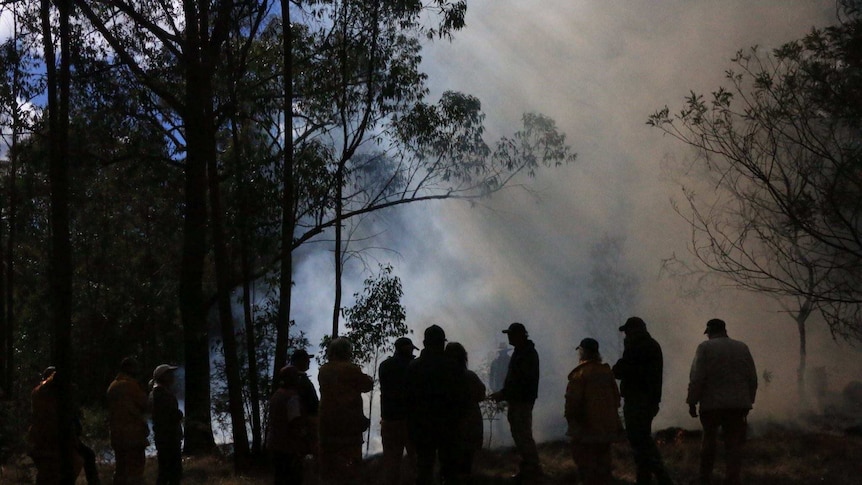 Silhouette of people standing in the bush with atmospheric smoky background.