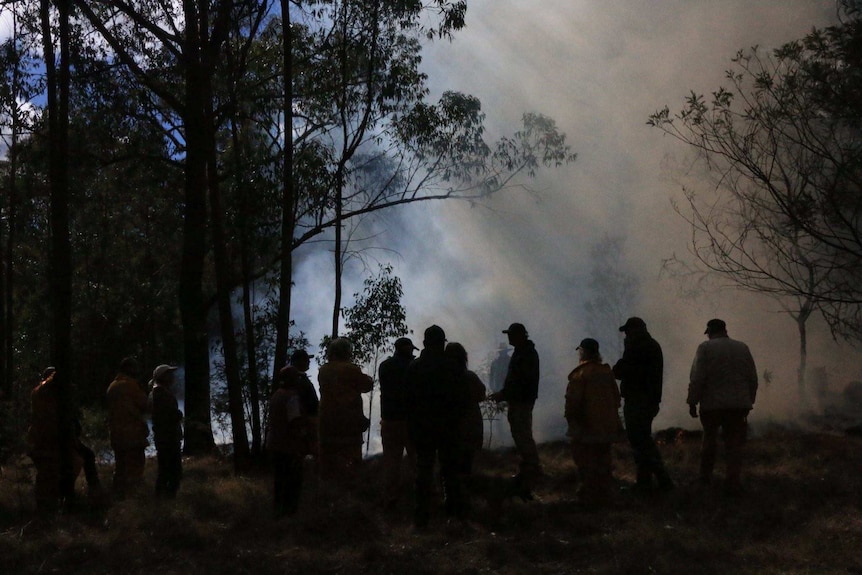 Silhouette of people standing in the bush with atmospheric smoky background.