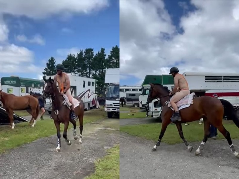 d82d5ba606a133136db34bd777046202?impolic